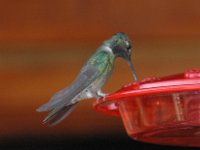 2006042573 Darrel & Betty Hagberg - Copper Canyon - Mexico