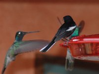 2006042574 Darrel & Betty Hagberg - Copper Canyon - Mexico