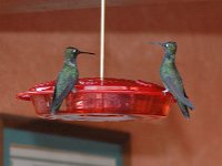 2006042577 Darrel & Betty Hagberg - Copper Canyon - Mexico