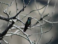 2006042588 Darrel & Betty Hagberg - Copper Canyon - Mexico