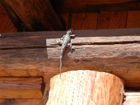 2006042627 Darrel & Betty Hagberg - Copper Canyon - Mexico