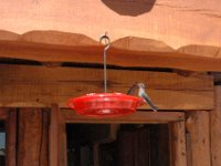 2006042631 Darrel & Betty Hagberg - Copper Canyon - Mexico