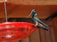 2006042632 Darrel & Betty Hagberg - Copper Canyon - Mexico