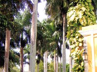 2008022179 Uxmal  Mayan Ruins -  Mexico