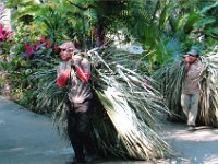 2008022148 Villa Hermosa - Olmec Heads -  Mexico