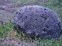 2016060981 Tulum and Mayan Village, Cozumel, Mexico (June 10)