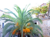 2013092638 Budva, Montenegro - Sept 11