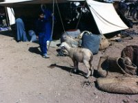 1990072665 Casablanca, Morocco (July 29)