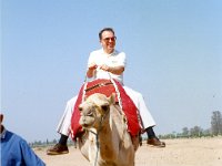 1990072670 Casablanca, Morocco (July 29)