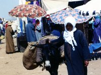 1990072674 Casablanca, Morocco (July 29)