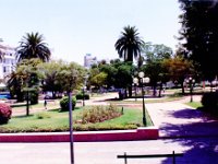 1990072682 Casablanca, Morocco (July 29)