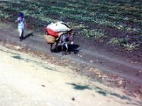 1990072464 Fes, Morocco (July 26, 1990)