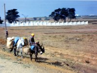 1990072468 Fes, Morocco (July 26, 1990)