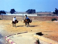 1990072469 Fes, Morocco (July 26, 1990)