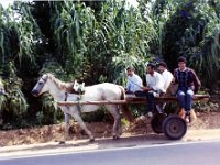1990072478 Fes, Morocco (July 26, 1990)