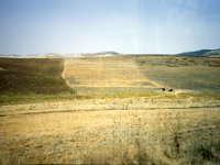 1990072481 Fes, Morocco (July 26, 1990)