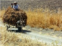 1990072487 Fes, Morocco (July 26, 1990)