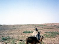 1990072543 Marrakech, Morocco (July 27 - 28, 1990)