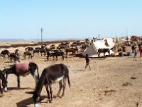 1990072656 Marrakech, Morocco (July 27 - 28, 1990)