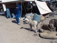 1990072657 Marrakech, Morocco (July 27 - 28, 1990)