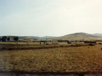 1990072442 Tangier, Morocco (July 25, 1990)