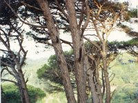 1990072447 Tangier, Morocco (July 25, 1990)