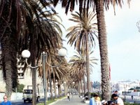 1990072462 Tangier, Morocco (July 25, 1990)