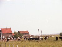 1983060653 Marken, Netherlands - Jul 05