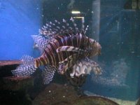 200502089 Auckland, New Zealand (February 24 - 25, 2005)