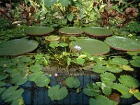 200502114 Auckland, New Zealand (February 24 - 25, 2005)