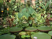 200502116 Auckland, New Zealand (February 24 - 25, 2005)