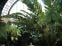 200502118 Auckland, New Zealand (February 24 - 25, 2005)