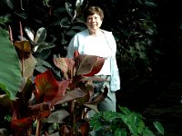 200502119 Auckland, New Zealand (February 24 - 25, 2005)