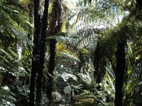 200502121 Auckland, New Zealand (February 24 - 25, 2005)