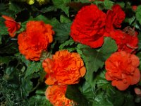 200502124 Auckland, New Zealand (February 24 - 25, 2005)