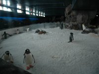 200502134 Auckland, New Zealand (February 24 - 25, 2005)