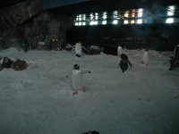 200502135 Auckland, New Zealand (February 24 - 25, 2005)