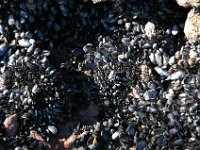 2005021652 Christchurch, New Zealand (February 17 - 18, 2005)