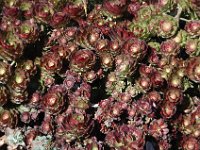 2005021655 Christchurch, New Zealand (February 17 - 18, 2005)