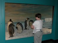 2005021670 Christchurch, New Zealand (February 17 - 18, 2005)