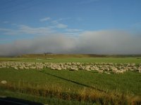 Milford Sound, New Zealand (February 21, 2005)