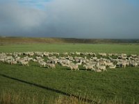 200501887 Milford Sound, New Zealand (February 21, 2005)
