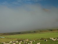 200501889 Milford Sound, New Zealand (February 21, 2005)