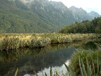200501901 Milford Sound, New Zealand (February 21, 2005)