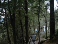 200501903 Milford Sound, New Zealand (February 21, 2005)