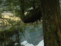 200501904 Milford Sound, New Zealand (February 21, 2005)