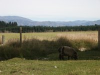 2005021698 Mount Cook, New Zealand (February 19, 2005)