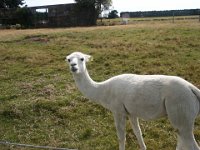 2005021704 Mount Cook, New Zealand (February 19, 2005)