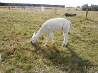 2005021705 Mount Cook, New Zealand (February 19, 2005)