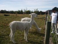2005021706 Mount Cook, New Zealand (February 19, 2005)